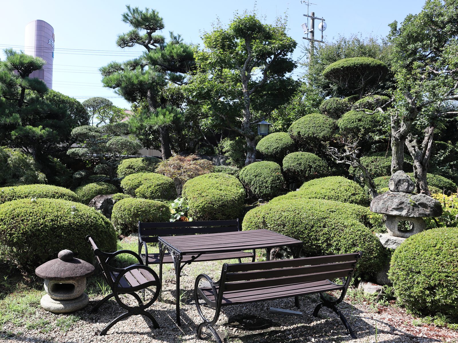 維持管理された庭園